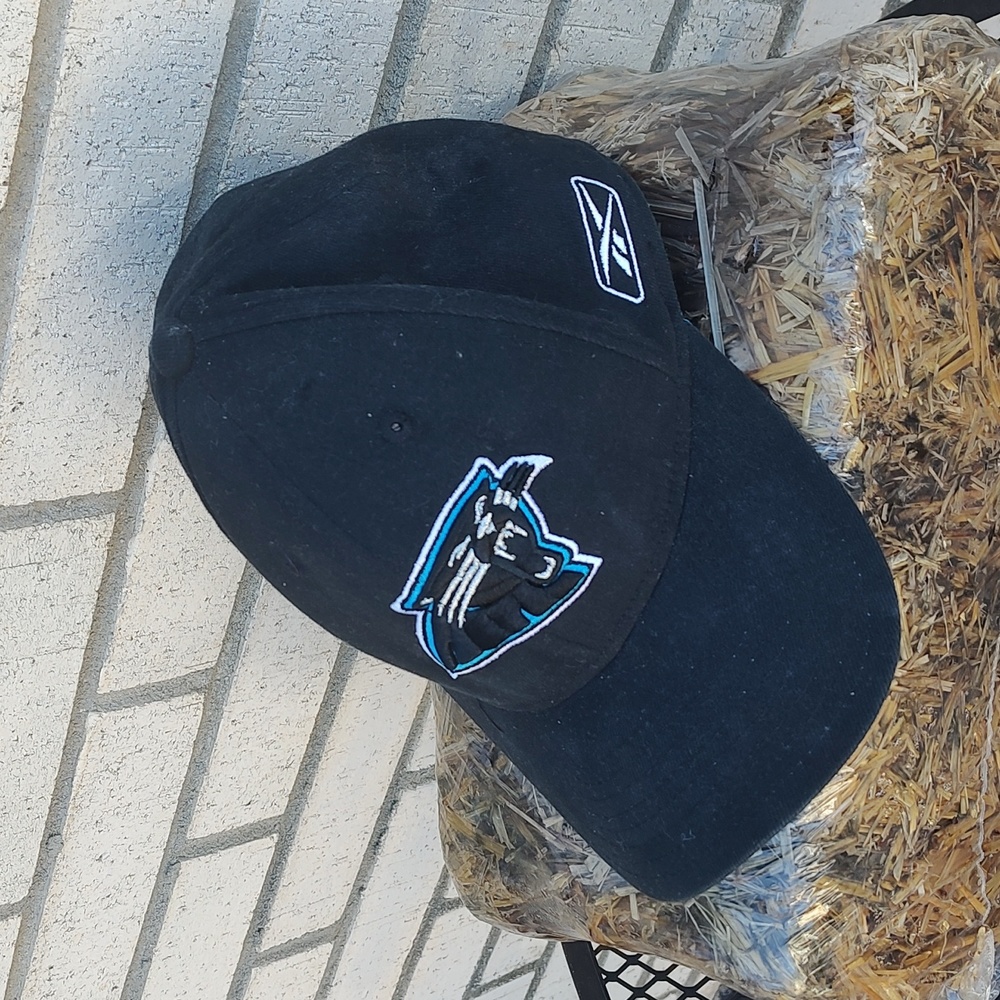 Carolina Panther Hat